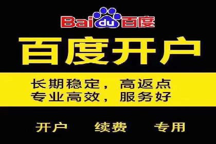 SEM竞价代运营公司实战案例分析